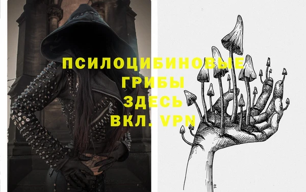 прущая мука Абаза