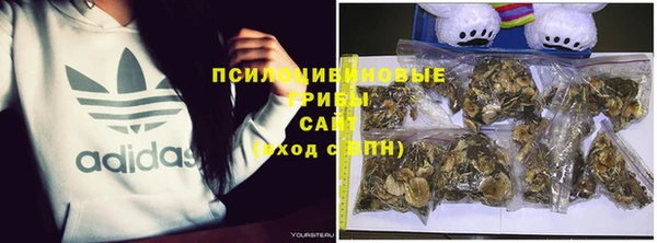 не бодяженный Абдулино